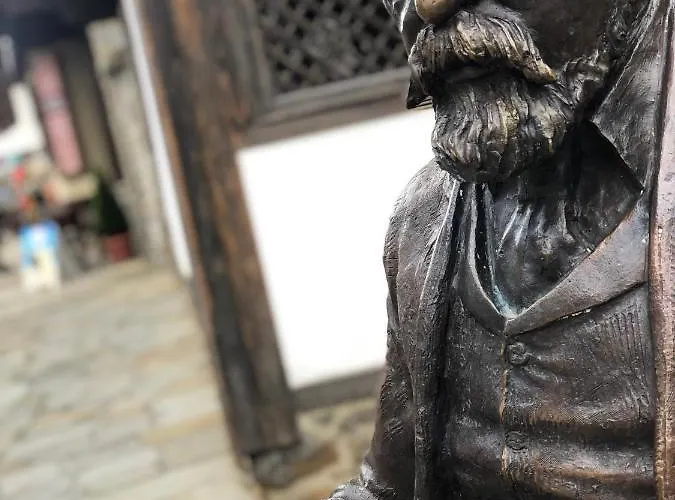 панорама - кът за отдих, въздухолечение и почивка * Trjavna