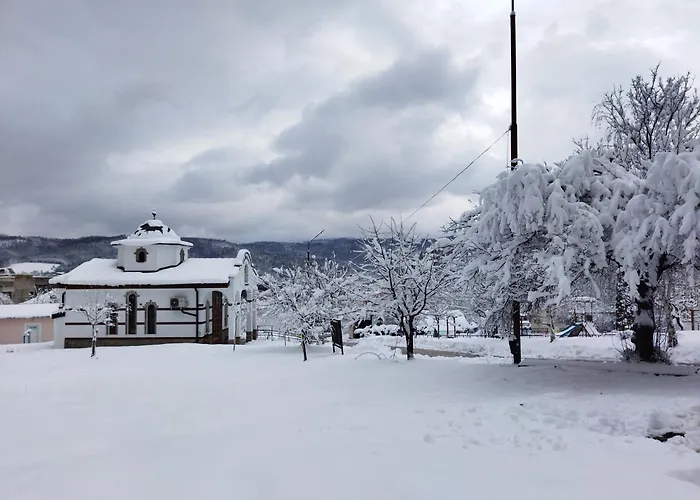 панорама - кът за отдих, въздухолечение и почивка *