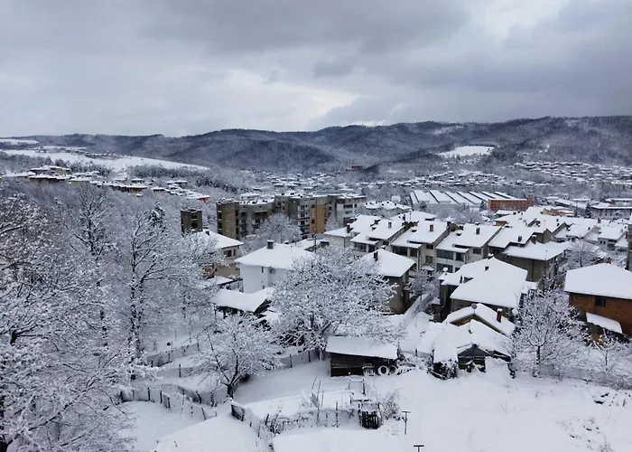 панорама - кът за отдих, въздухолечение и почивка * Trjavna